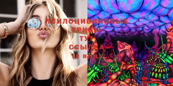 эйфоретик Алексин